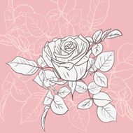 Floral card with roses N23