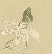 butterfly N86