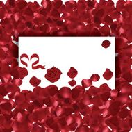 Valentines Day red petals background with messgae card