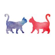 cats N44