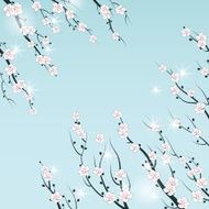 Cherry branch in blossom Seasonal background N4