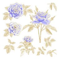 Blue roses set