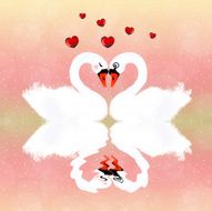 swans in Love N5