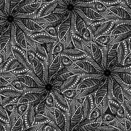 seamless pattern of black and white lace N2
