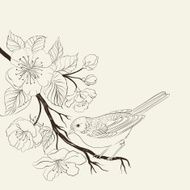 Hand drawn bird on sacura branch N4