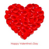 Heart of red rose petals Valentine&#039;s Day N3