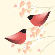 Lovebirds N8