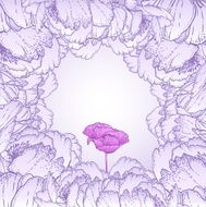 Romantic Flower Background with pink poppy