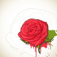 Red Rose Bud N3