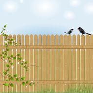 Birds Dating On the Fence Spring Sunny Day