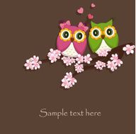 Two funny love the owl sitting on a flowering branch N4