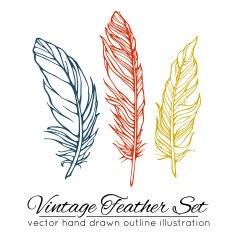 Vintage feather set isolated on white background N2