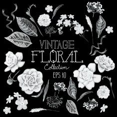 Collection of gray floral design elements