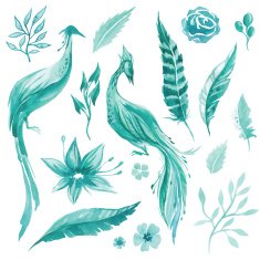 Vector watercolor set of birds flowers plants and feathers