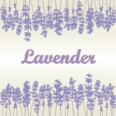Lavender background N2