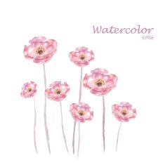 Pink watercolor Rose flower vector N2