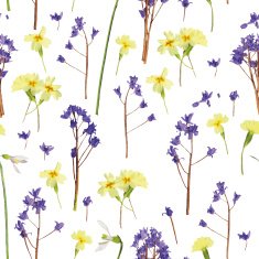 Romantic pattern scanned from natural spring flowers N2