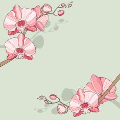 Corner floral background with orchid