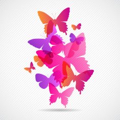 Vector butterflies background design Collorfull EPS 10 concept