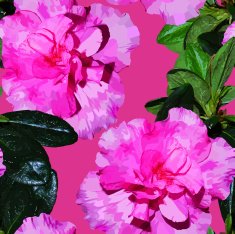 Seamless pattern realistic flowers azalea N3