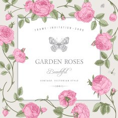 Vintage vector card with beautiful garden roses