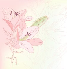 Floral background N1017