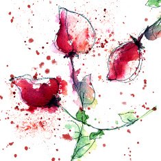 Three red roses N2