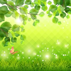 Green Grass Tree Branch Butterfly Background