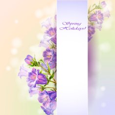 Spring flowers invitation template card N80