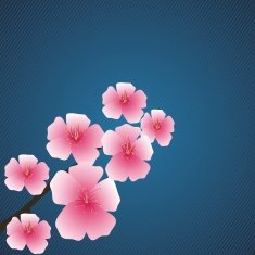 Pink Flowers N22