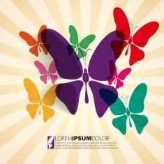 Greeting card with paper butterfly - design vector eps10 N2