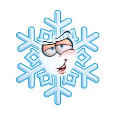 SnowFlake Emoticon - Hey You N2