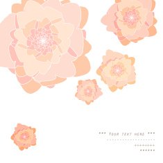 Gentle decor N20