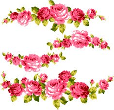 decoration of rose N51