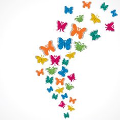 Colorful Butterfly N11