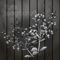 Beautiful flowers on a wooden texture N7