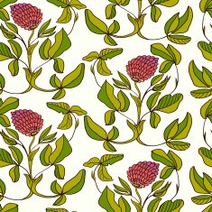 Herbal seamless pattern with clovers