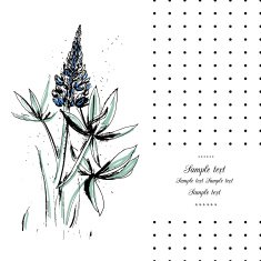 Floral card N64