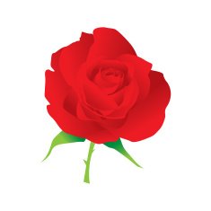 Rose Vector N8