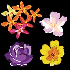Flowers icon set
