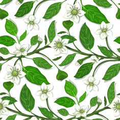White Flowers on Twig Seamless Pattern N5