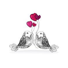 Couple birds valentines love