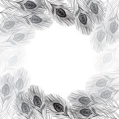 Vector frame with peacock feathers and place for text N3