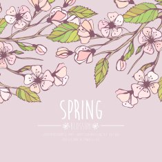 Blossoming Spring Branch Vector illustration N5