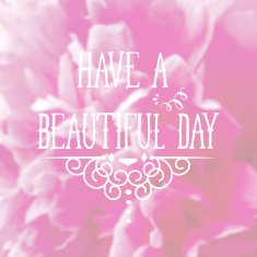 abstract floral background N124