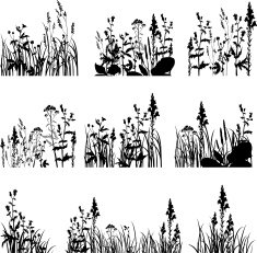 Silhouettes of flowers and grass N31