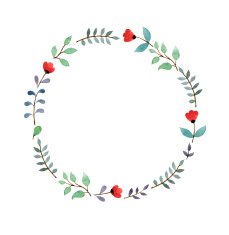 floral frame N215