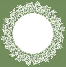 Lace Doily N16