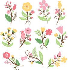 Set of florwers N2