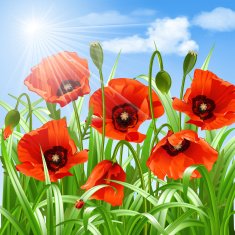 Red poppies in grass vector N7